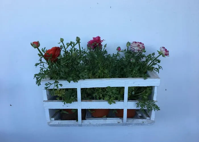 Отель типа 