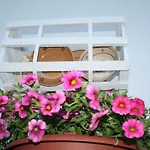 Cafe' Fausu Nocleg ze śniadaniem Veglie