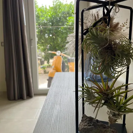 Cafe' Fausu Bed & Breakfast Veglie